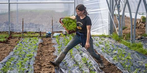 En Béarn, la coopérative Ceinture verte relocalise l’agriculture autour.